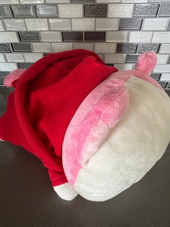 Miniz by Anirollz Kittiroll with Hoodie Plush / Kawaii / Limited Edition 11” NEW - Picture 6 of 16